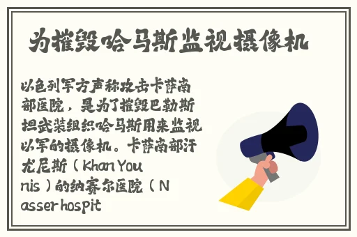 8x8x外美华人